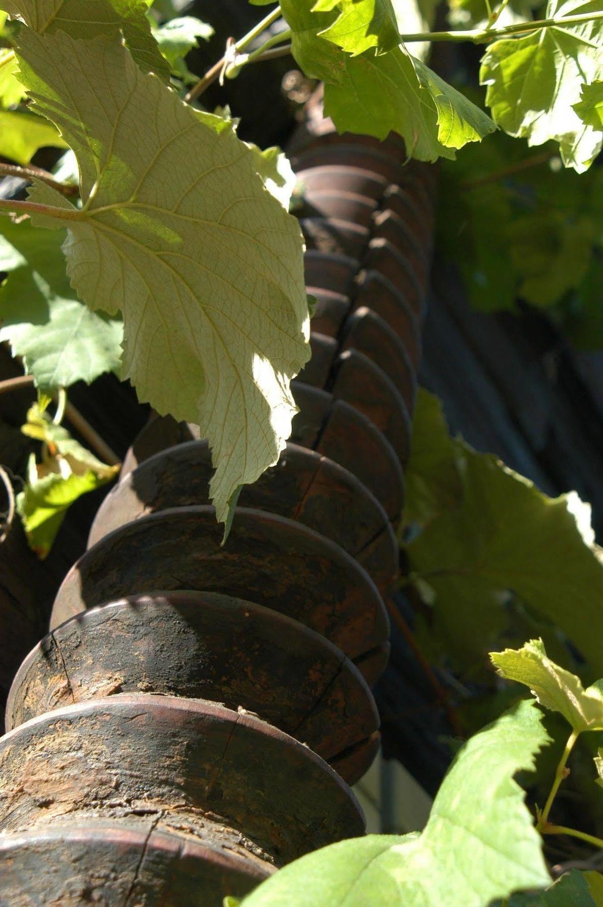 ספיפלד Weingut Primus Suedsteiermark מראה חיצוני תמונה
