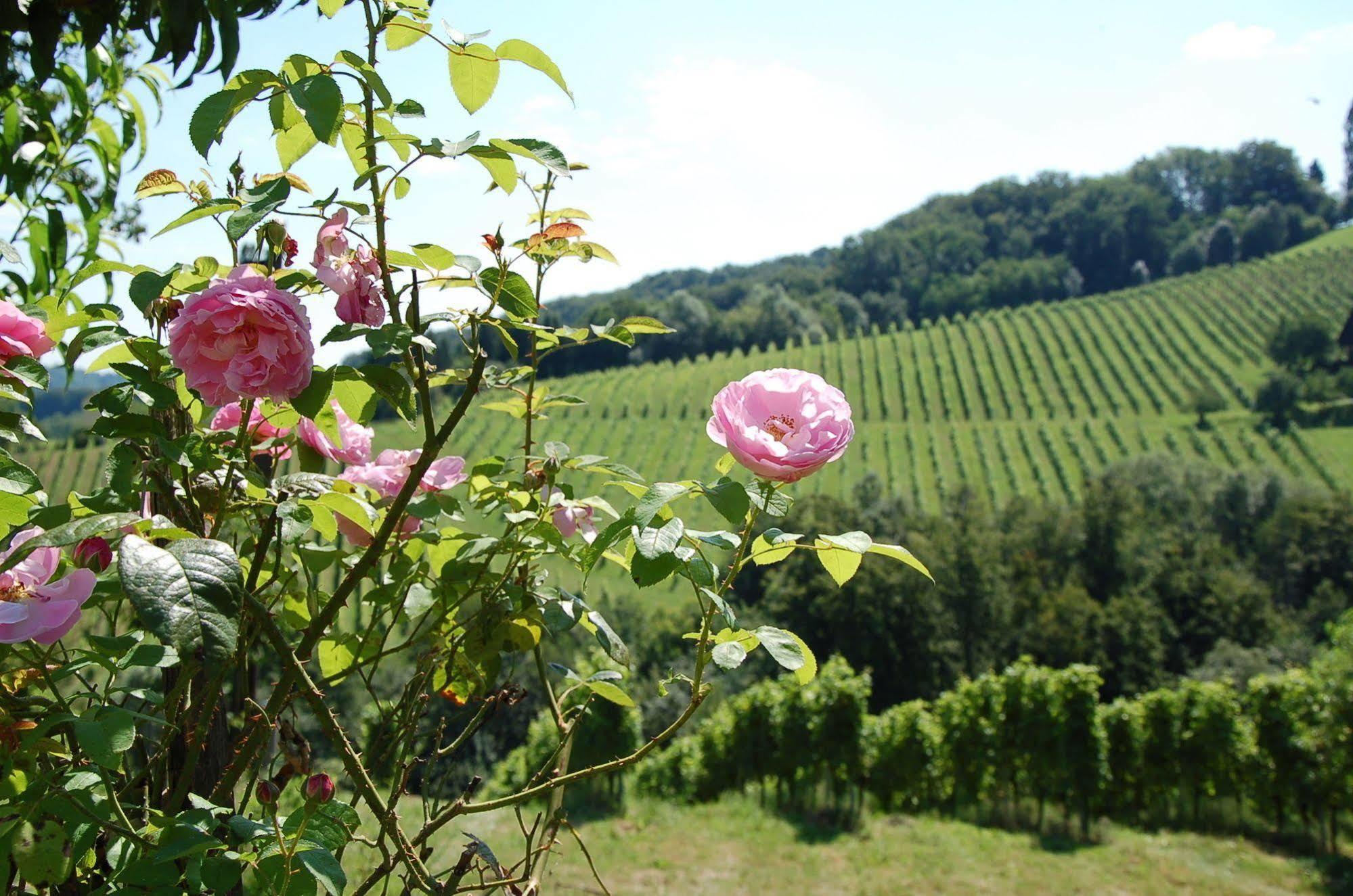 ספיפלד Weingut Primus Suedsteiermark מראה חיצוני תמונה